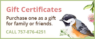 button-gift-certificates